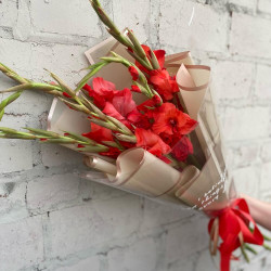5 красных гладиолусов