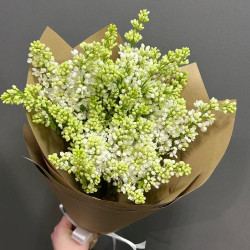 Букет из 5 шикарных веток белой сирени