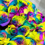 51 радужная роза фото 2