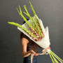 7 розовых гладиолусов