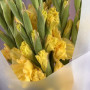 9 желтых гладиолусов фото 2